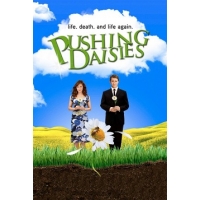    (Pushing Daisies)  1  2 