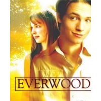 Эвервуд (Любовь Вдовца) (Город На Холме) (Everwood) – все 4 сезона