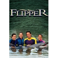  (  ) (Flipper) - 1-4 