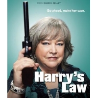 Закон Хэрри (Harrys Law) - 1 сезон