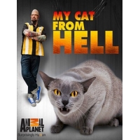 Адская кошка (Кот из ада) (My Cat From Hell)