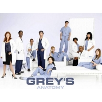   ( ) (Greys Anatomy) - 1-13 
