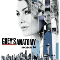   ( ) (Greys Anatomy) - 14 