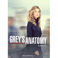   ( ) (Greys Anatomy) - 16 