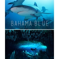   (Bahama Blue)