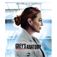   ( ) (Greys Anatomy) - 17 