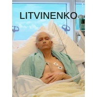  (Litvinenko)